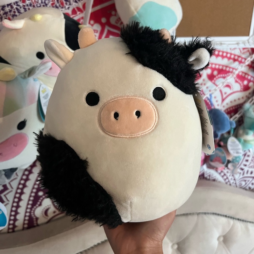 Fuzzy Connor squishmallow